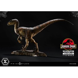 Jurassic Park statuette Prime Collectibles 1/10 Velociraptor Closed Mouth 19 cm | 4582647120038