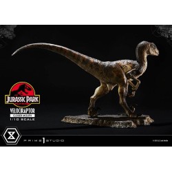 Jurassic Park statuette Prime Collectibles 1/10 Velociraptor Closed Mouth 19 cm | 4582647120038