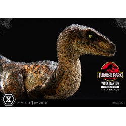 Jurassic Park statuette Prime Collectibles 1/10 Velociraptor Closed Mouth 19 cm | 4582647120038