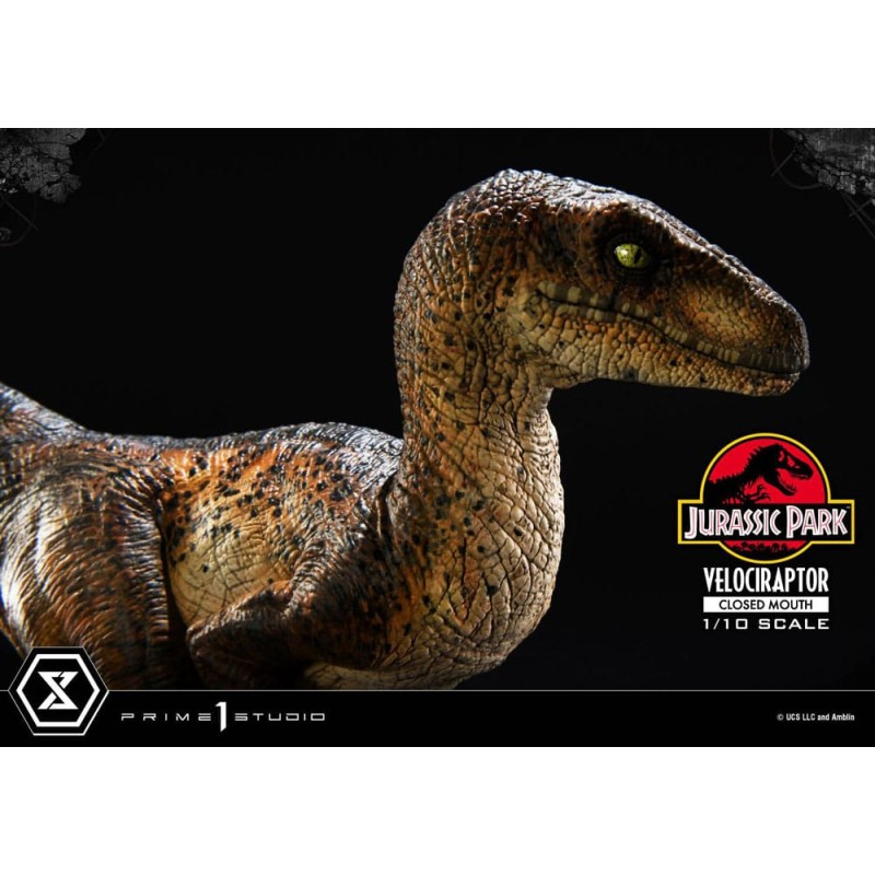 Jurassic Park statuette Prime Collectibles 1/10 Velociraptor Closed Mouth 19 cm | 4582647120038