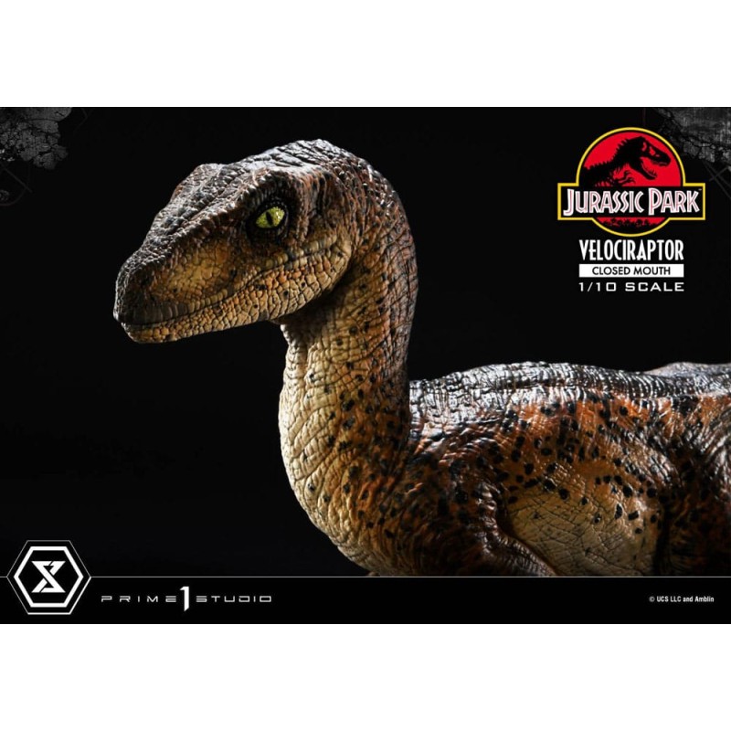 Jurassic Park statuette Prime Collectibles 1/10 Velociraptor Closed Mouth 19 cm | 4582647120038