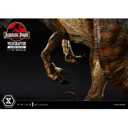 Jurassic Park statuette Prime Collectibles 1/10 Velociraptor Closed Mouth 19 cm | 4582647120038