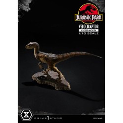 Jurassic Park statuette Prime Collectibles 1/10 Velociraptor Closed Mouth 19 cm | 4582647120038