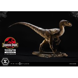 Jurassic Park statuette Prime Collectibles 1/10 Velociraptor Closed Mouth 19 cm | 4582647120038