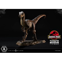 Jurassic Park statuette Prime Collectibles 1/10 Velociraptor Closed Mouth 19 cm | 4582647120038