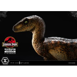 Jurassic Park statuette Prime Collectibles 1/10 Velociraptor Closed Mouth 19 cm | 4582647120038