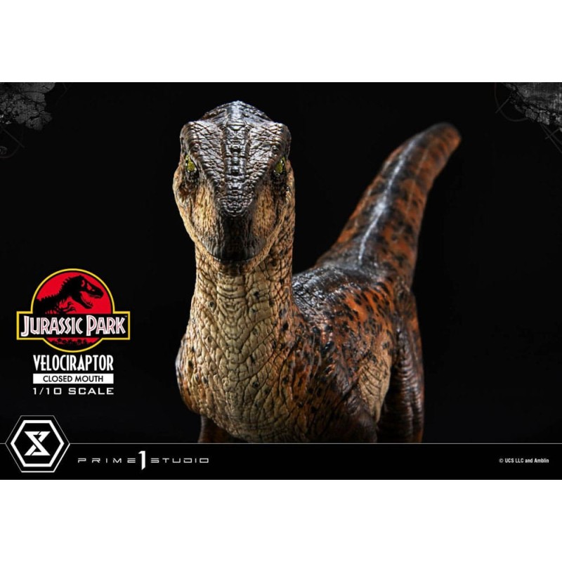 Jurassic Park statuette Prime Collectibles 1/10 Velociraptor Closed Mouth 19 cm | 4582647120038