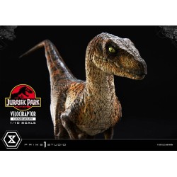 Jurassic Park statuette Prime Collectibles 1/10 Velociraptor Closed Mouth 19 cm | 4582647120038