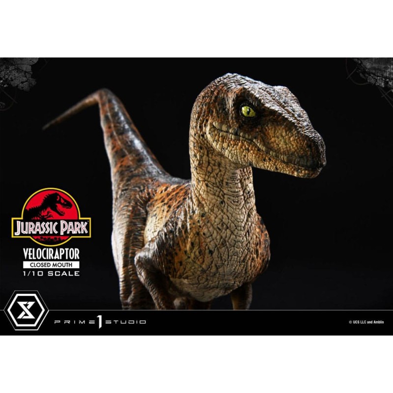 Jurassic Park statuette Prime Collectibles 1/10 Velociraptor Closed Mouth 19 cm | 4582647120038