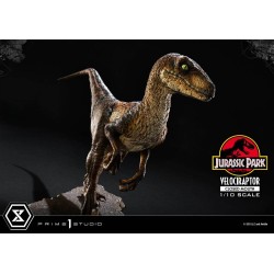 Jurassic Park statuette Prime Collectibles 1/10 Velociraptor Closed Mouth 19 cm | 4582647120038