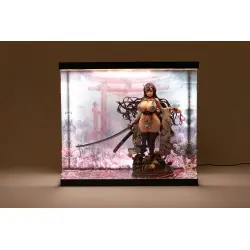 SHINSAI présentoir vitrine acrylique avec éclairage Inbina Rasethuhime Saki 39 cm  | 4570178590284