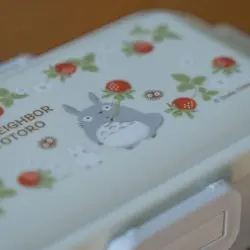 Mon voisin Totoro 4 locks Bento Box My Neighbor Totoro | 4973307601248