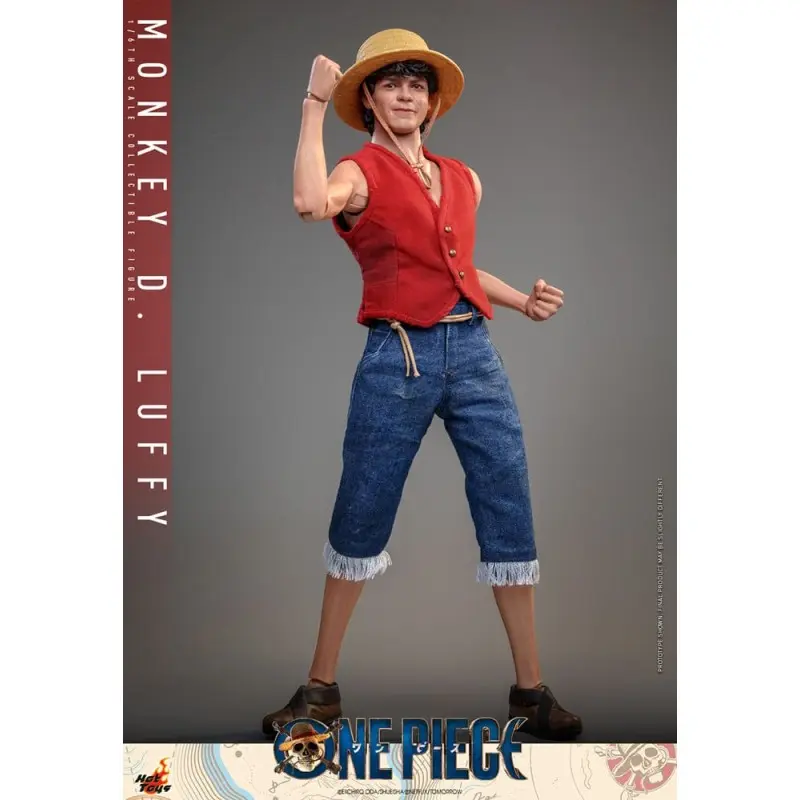 One Piece (Netflix) figurine 1/6 Monkey D. Luffy 31 cm | 4895228615626