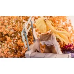 Tricolour Lovestory statuette PVC 1/7 Te Chi Guo 25 cm | 4589565813424