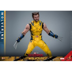 Deadpool & Wolverine Movie Masterpiece figurine 1/6 Wolverine (Deluxe Version) 31 cm