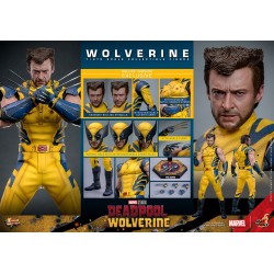 Deadpool & Wolverine Movie Masterpiece figurine 1/6 Wolverine (Deluxe Version) 31 cm