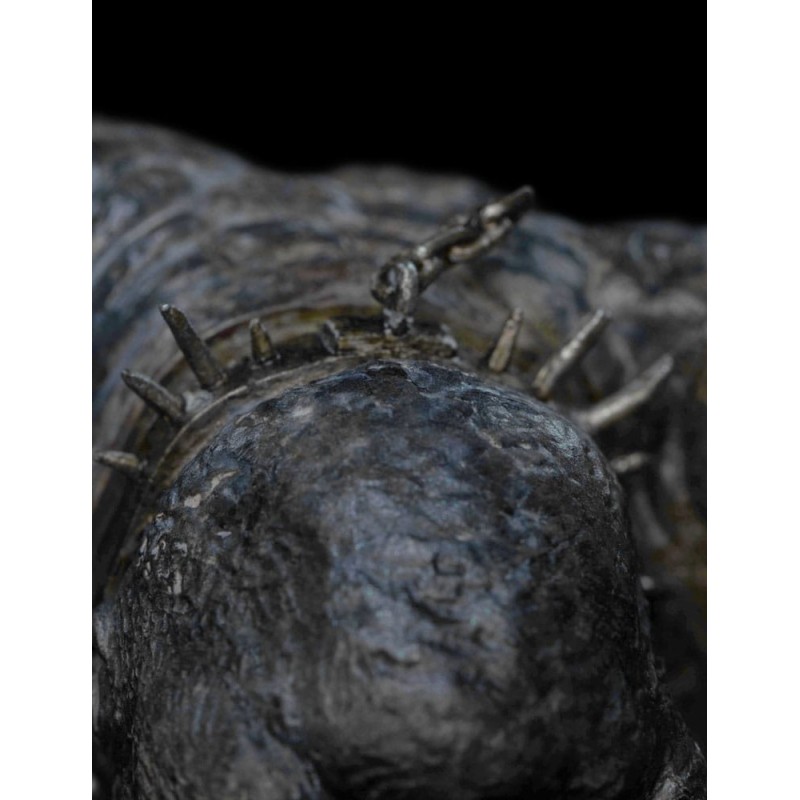 Le Seigneur des Anneaux statuette Cave Troll 16 cm