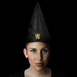 Harry Potter chapeau Gryffindor 32 cm | 4895205601611