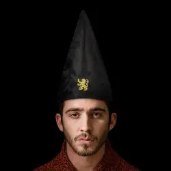 Harry Potter chapeau Gryffindor 32 cm | 4895205601611