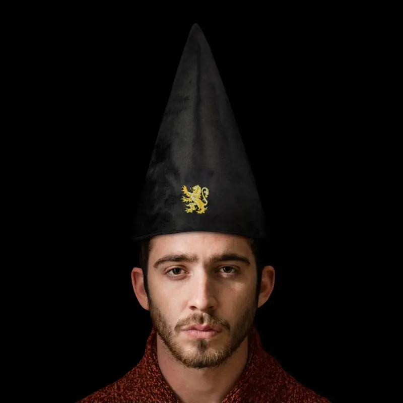 Harry Potter chapeau Gryffindor 32 cm | 4895205601611