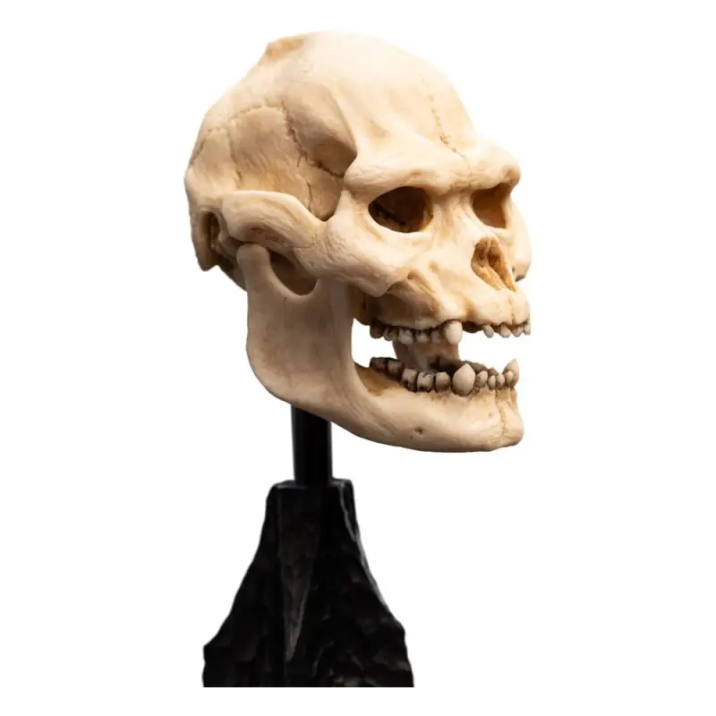 Le Seigneur des Anneaux statuette Skull of Lurtz 14 cm | 9420024743560