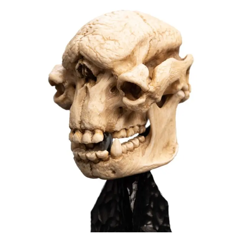 Le Seigneur des Anneaux statuette Skull of a Cave Troll 21 cm | 9420024744277
