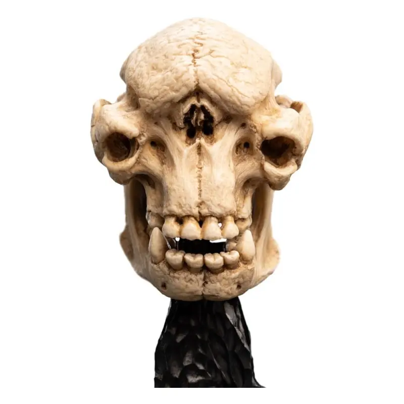Le Seigneur des Anneaux statuette Skull of a Cave Troll 21 cm | 9420024744277