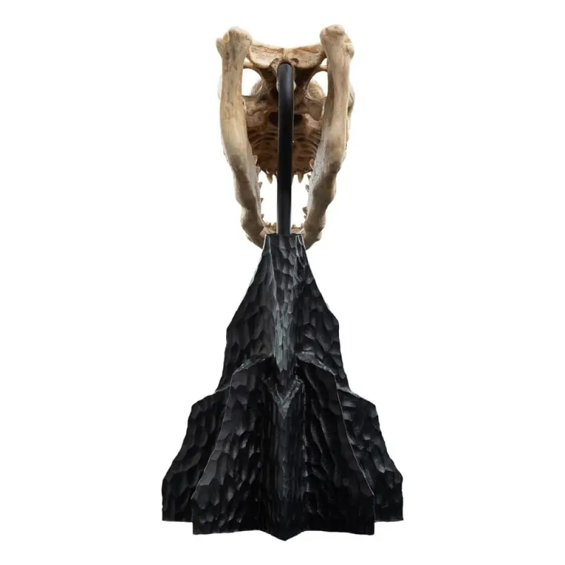 Le Seigneur des Anneaux statuette Skull of a Fell Beast 21 cm | 9420024744284