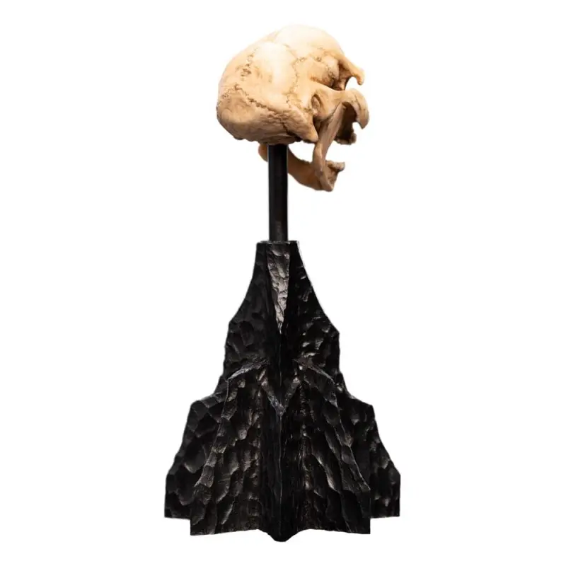 Le Seigneur des Anneaux statuette Skull of a Moria Orc 13 cm | 9420024744291