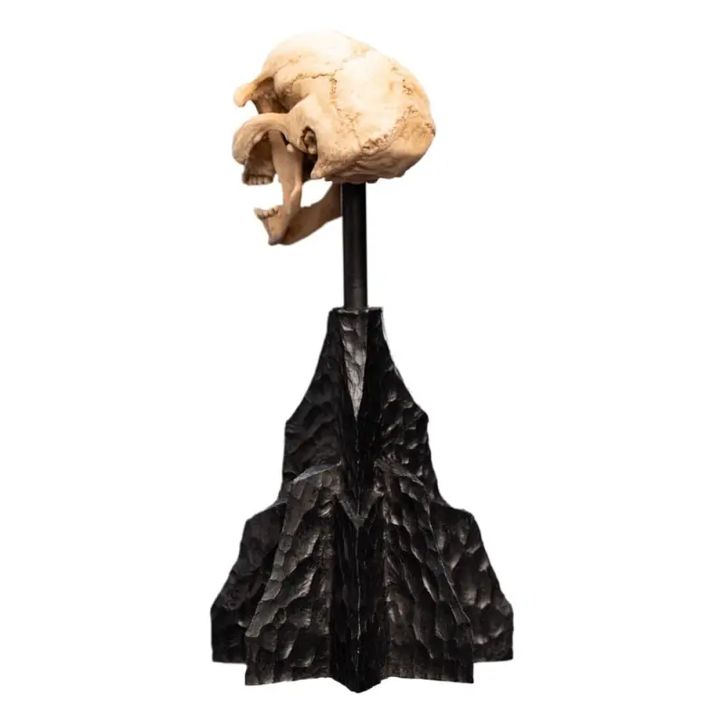 Le Seigneur des Anneaux statuette Skull of a Moria Orc 13 cm | 9420024744291