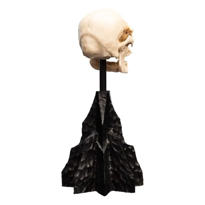 Le Seigneur des Anneaux statuette Skull of a Mordor Orc 14 cm | 9420024745991