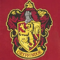 Harry Potter bannière Gryffindor 30 x 44 cm | 4895205603905