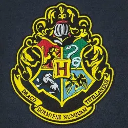 Harry Potter bannière Hogwarts 30 x 44 cm | 4895205603943