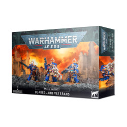 Gameplay: Warhammer 40,000 - Space Marines: Veteran Bladeguards

Publisher: Games Workshop