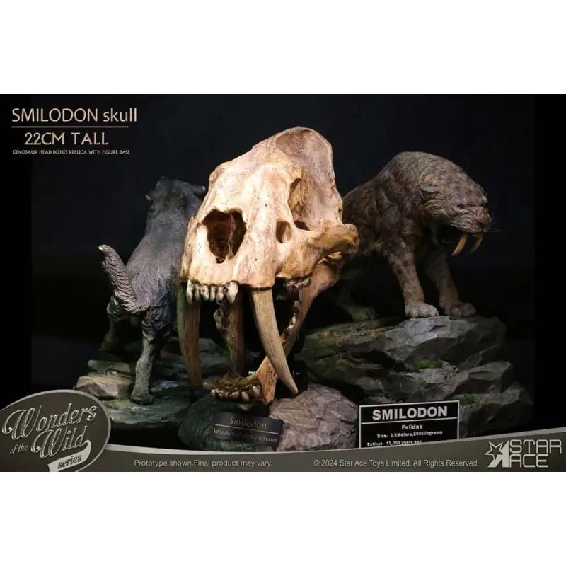 Wonders of the Wild Series statuette Smilodon Skull Fossil 22 cm | 4897057885409