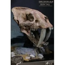 Wonders of the Wild Series statuette Smilodon Skull Fossil 22 cm | 4897057885409