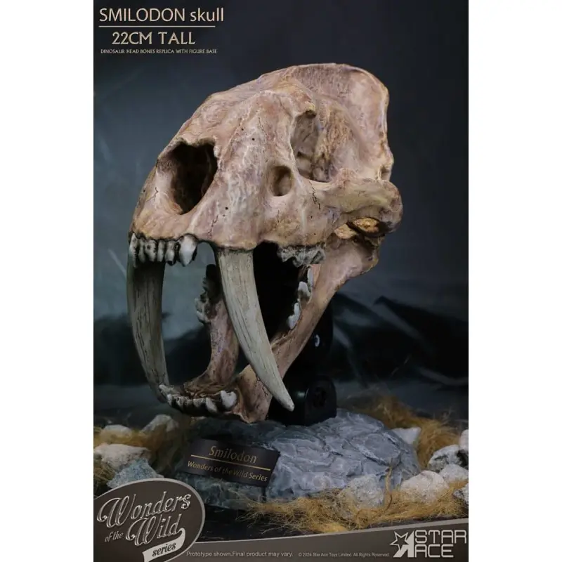 Wonders of the Wild Series statuette Smilodon Skull Fossil 22 cm | 4897057885409