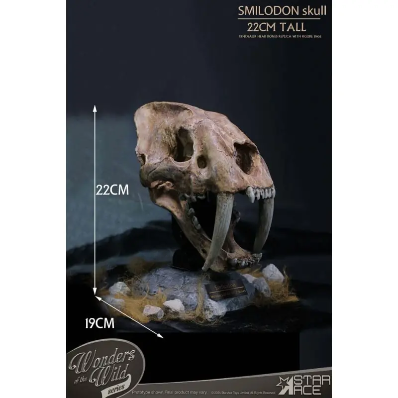 Wonders of the Wild Series statuette Smilodon Skull Fossil 22 cm | 4897057885409