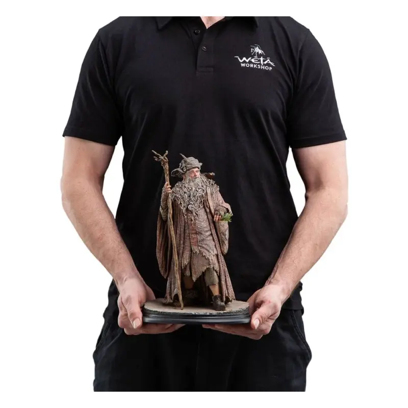 Le Seigneur des Anneaux statuette 1/6 Radagast 30 cm | 9420024744314