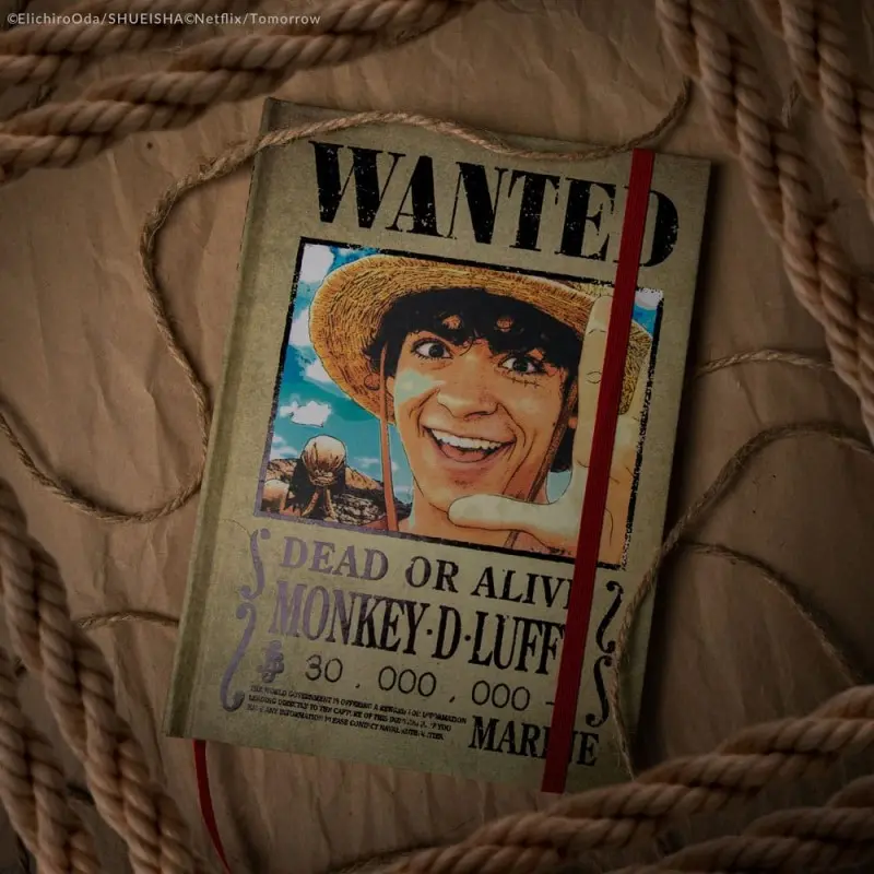 One Piece carnet Wanted Posters | 4895205618909