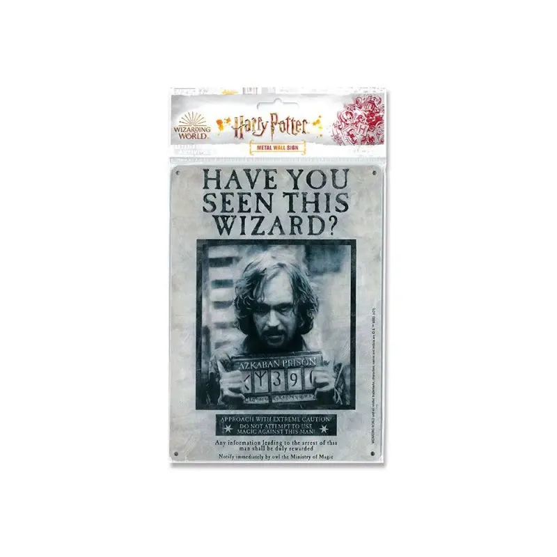 Harry Potter panneau métal Have You Seen This Wizard 15 x 21 cm | 4045846388239