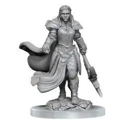 D&D Nolzur's Marvelous Miniatures pack 2 miniatures à peindre Orc Fighter Female | 0634482904053