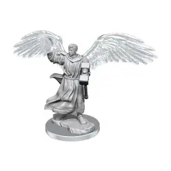 D&D Nolzur's Marvelous Miniatures pack 2 miniatures à peindre Aasimar Cleric Male | 0634482904084