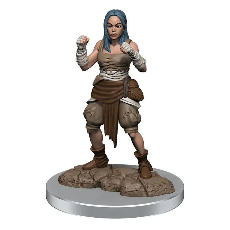 Pathfinder Battles Deep Cuts pack 2 miniatures à peindre Half-Elf Monk Female (carton de 2) | 0634482906521