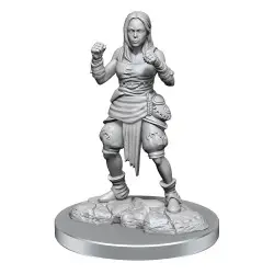 Pathfinder Battles Deep Cuts pack 2 miniatures à peindre Half-Elf Monk Female (carton de 2) | 0634482906521