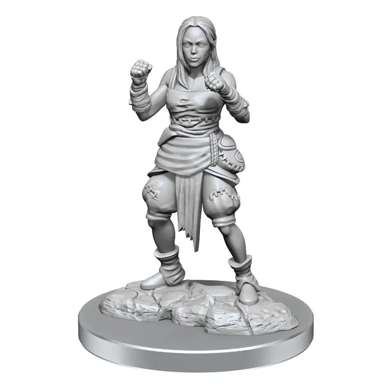 Pathfinder Battles Deep Cuts pack 2 miniatures à peindre Half-Elf Monk Female (carton de 2) | 0634482906521