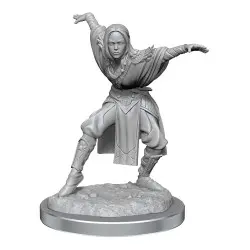 Pathfinder Battles Deep Cuts pack 2 miniatures à peindre Half-Elf Monk Female (carton de 2) | 0634482906521