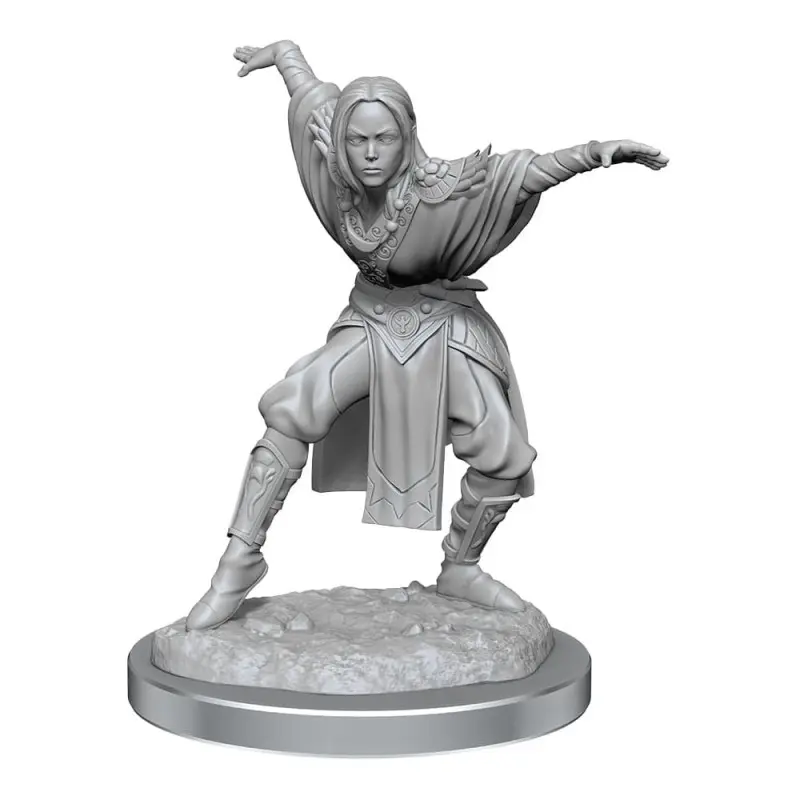 Pathfinder Battles Deep Cuts pack 2 miniatures à peindre Half-Elf Monk Female (carton de 2) | 0634482906521