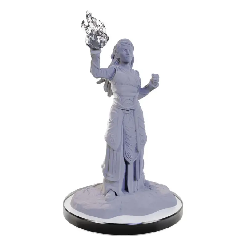 D&D Nolzur's Marvelous Miniatures miniature à peindre Elf Wizards | 0634482906729