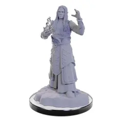 D&D Nolzur's Marvelous Miniatures miniature à peindre Elf Wizards | 0634482906729
